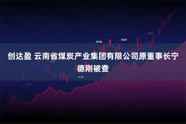 创达盈 云南省煤炭产业集团有限公司原董事长宁德刚被查