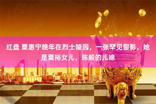 红盘 粟惠宁晚年在烈士陵园，一张罕见留影，她是粟裕女儿，陈毅的儿媳