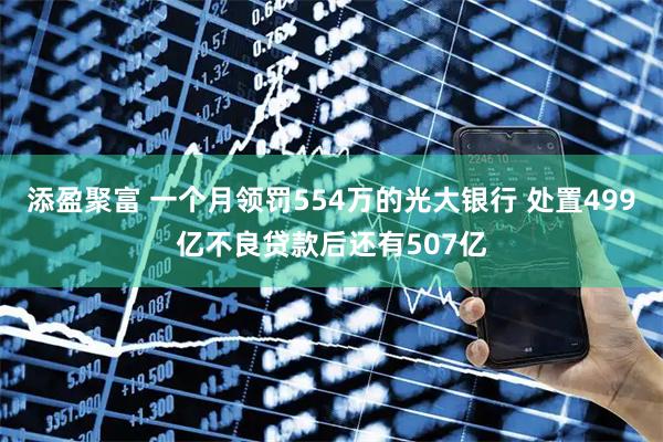 添盈聚富 一个月领罚554万的光大银行 处置499亿不良贷款后还有507亿