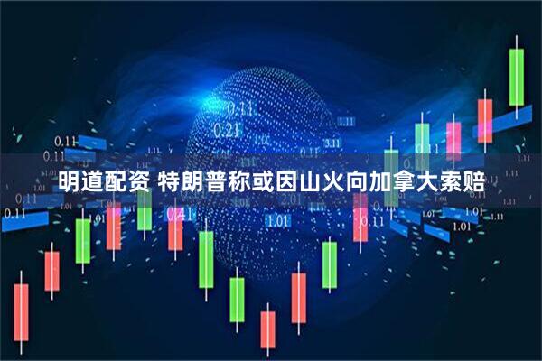 明道配资 特朗普称或因山火向加拿大索赔